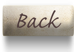 blue button with white arrow that says “Back”